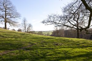 Hardwick Hall 16 sm.jpg